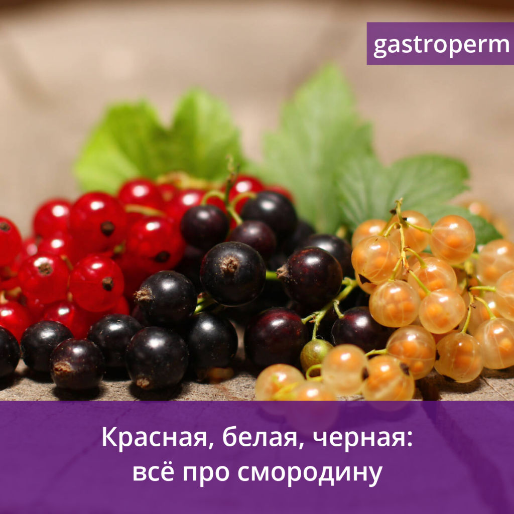 Какая смородина полезнее — красная, белая или черная