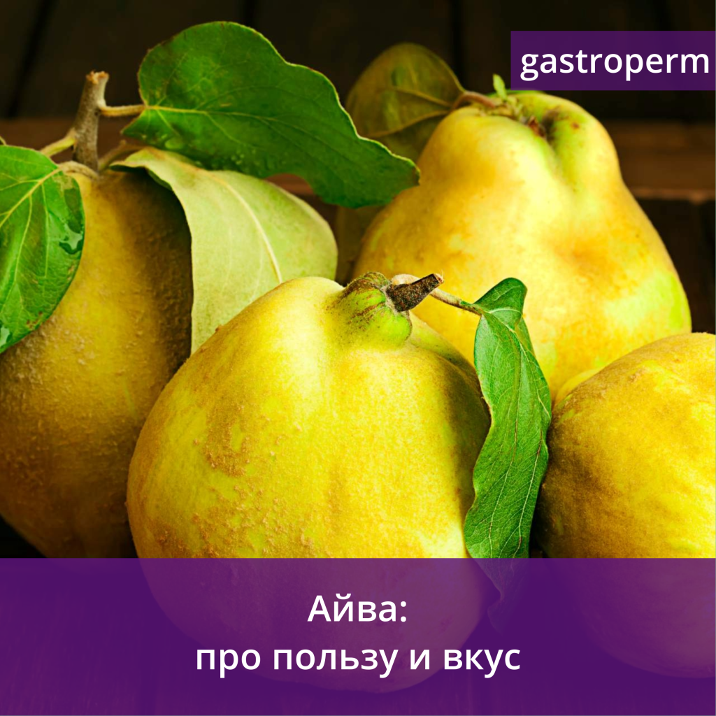 Айва — польза фрукта и интересные факты