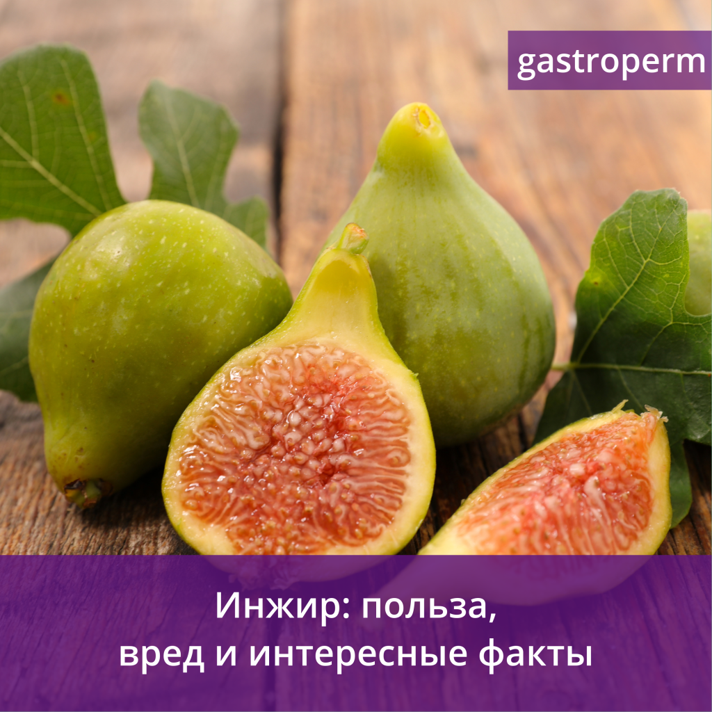 Инжир польза и вред для здоровья