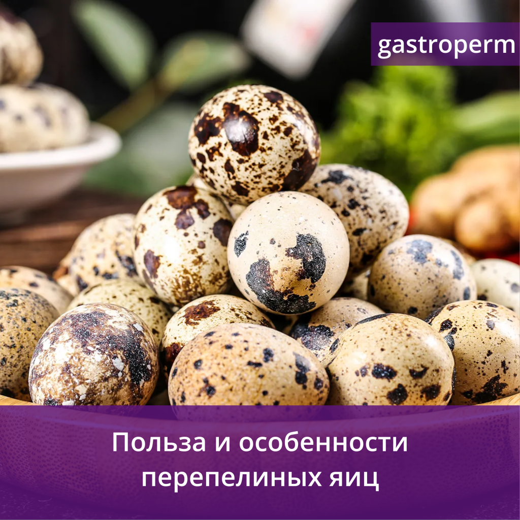 Перепелиные яйца — польза и особенности