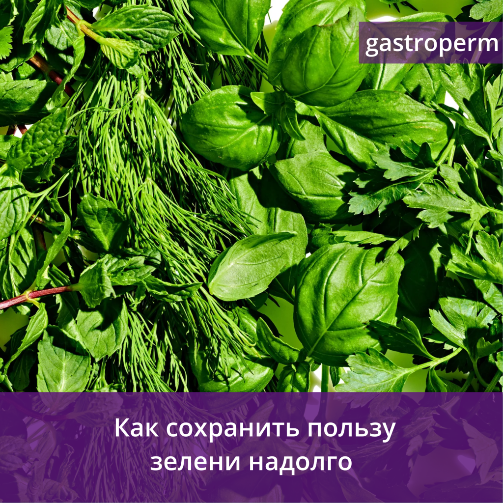 Как заготовить зелень впрок