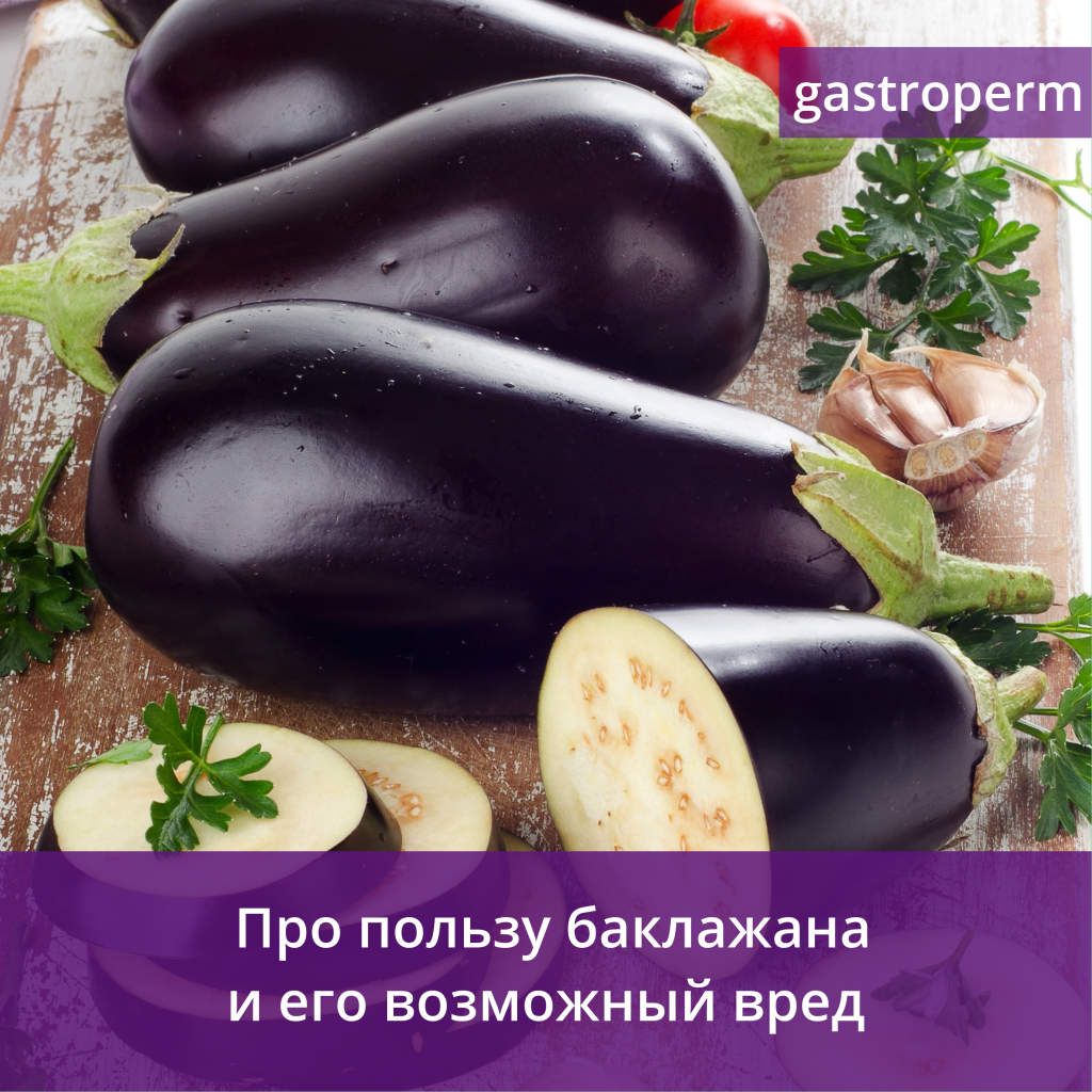 Баклажан — польза и вред для здоровья