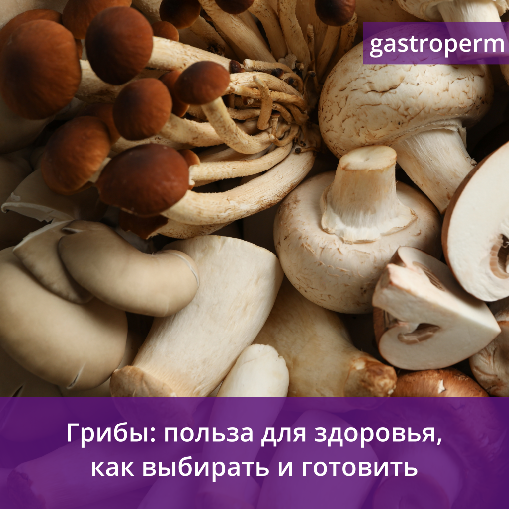 Грибы — чем полезны