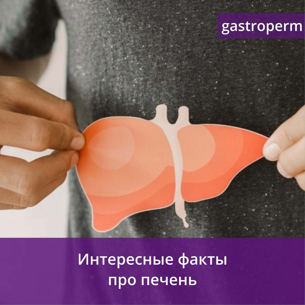 Интересные факты о печени